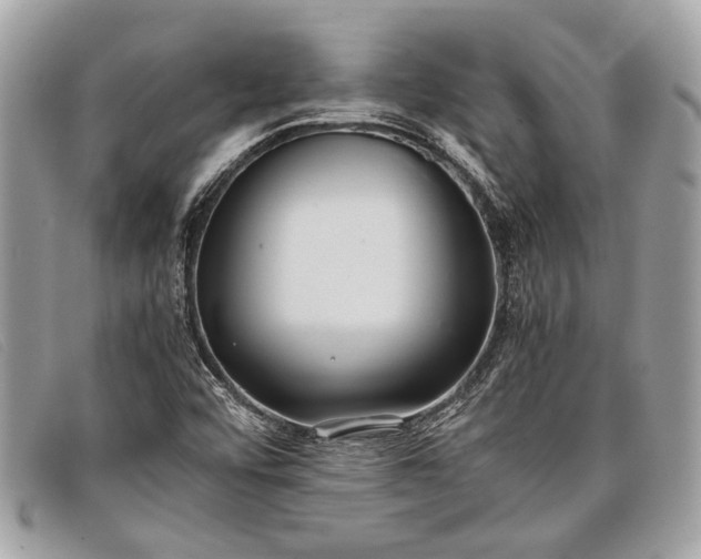 X0000098021456200804111245