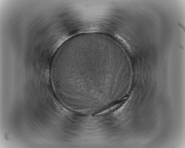 X0000098021457200804111245