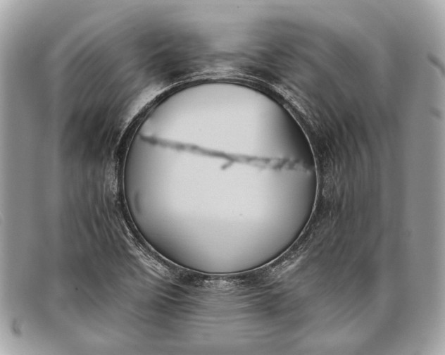 X0000098021458200804111245