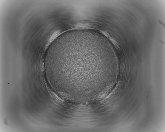 X0000098021459200804111245