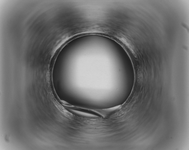 X0000098021460200804111245