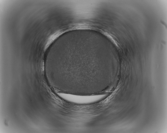 X0000098021461200804111245