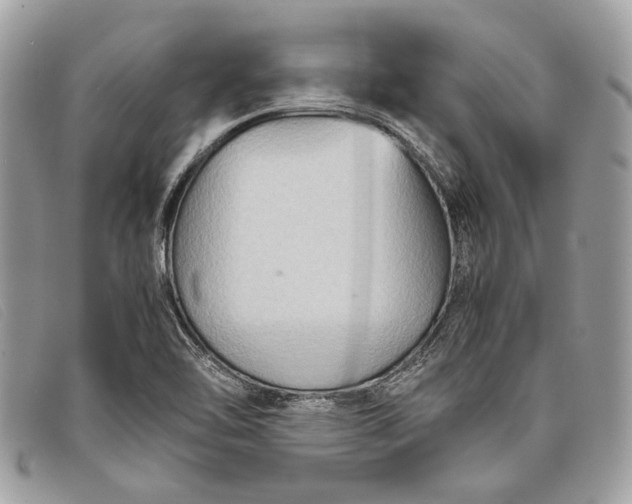 X0000098021462200804111245