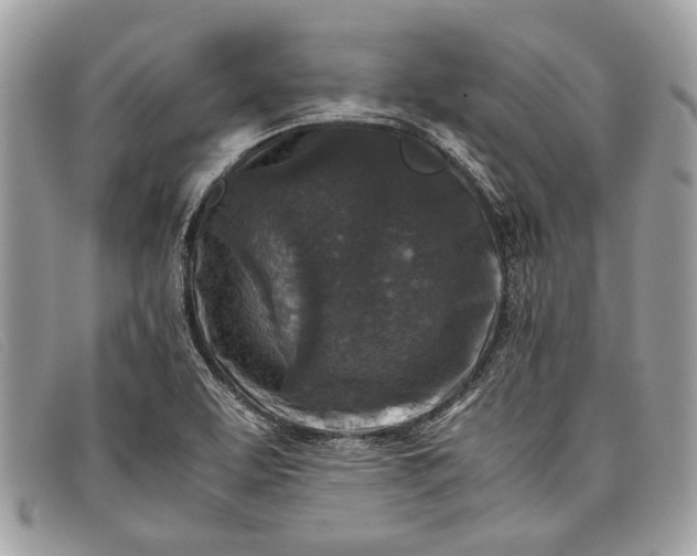 X0000098021463200804111245