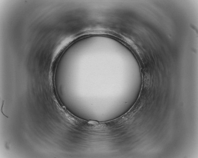 X0000098021464200804111245