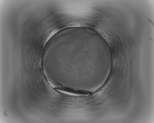 X0000098021465200804111245