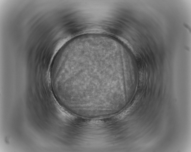 X0000098021466200804111245