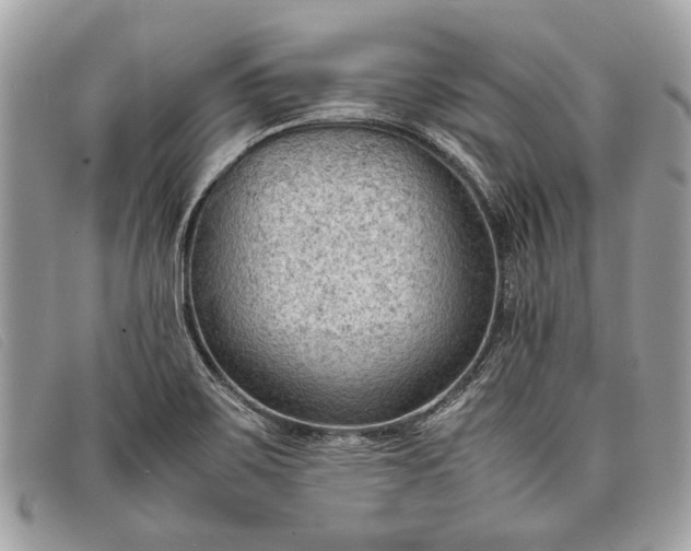 X0000098021467200804111245