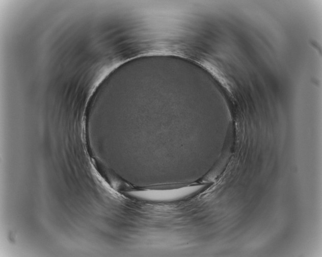 X0000098021468200804111245