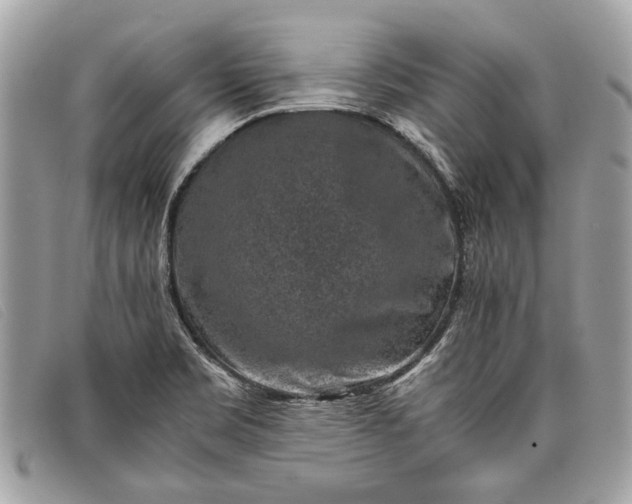 X0000098021469200804111245