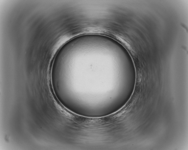 X0000098021471200804111245