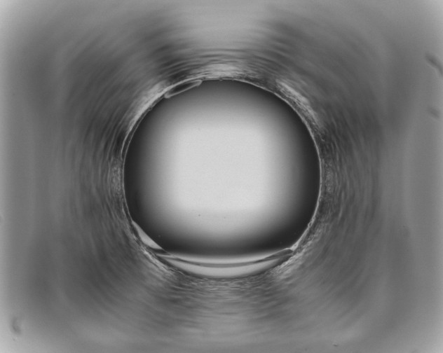 X0000098021473200804111245