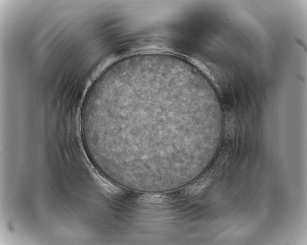 X0000098021474200804111245