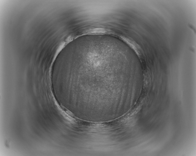 X0000098021475200804111245