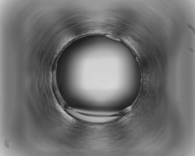 X0000098021476200804111245