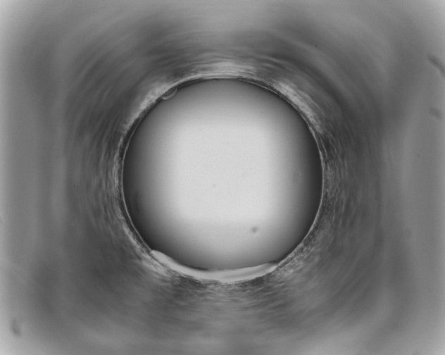 X0000098021477200804111245