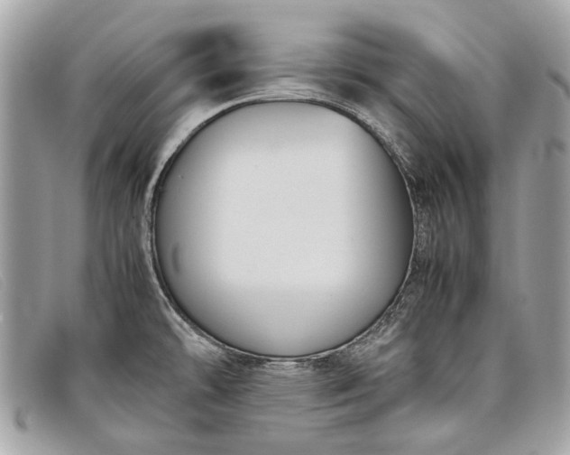 X0000098021478200804111245