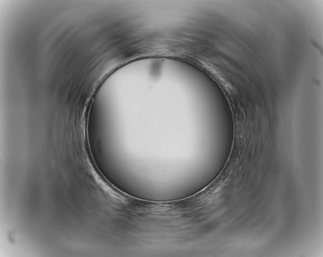 X0000098021479200804111245