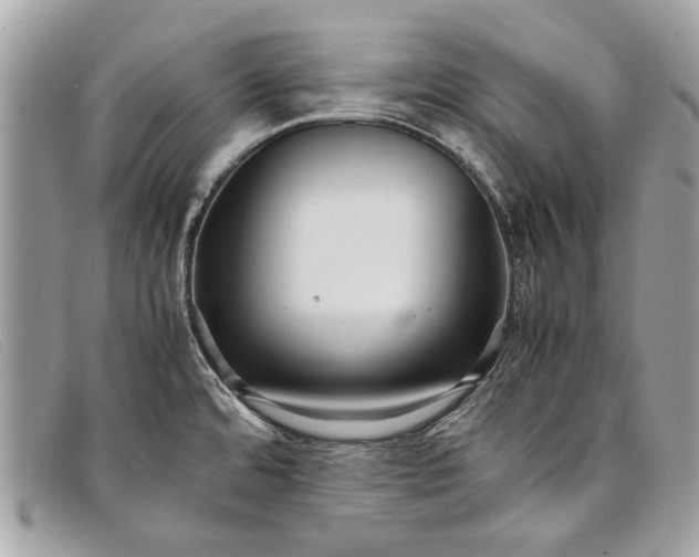 X0000098021480200804111245