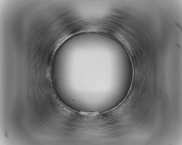 X0000098021481200804111245