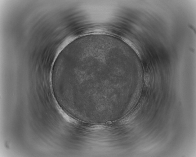 X0000098021482200804111245