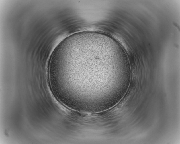 X0000098021483200804111245