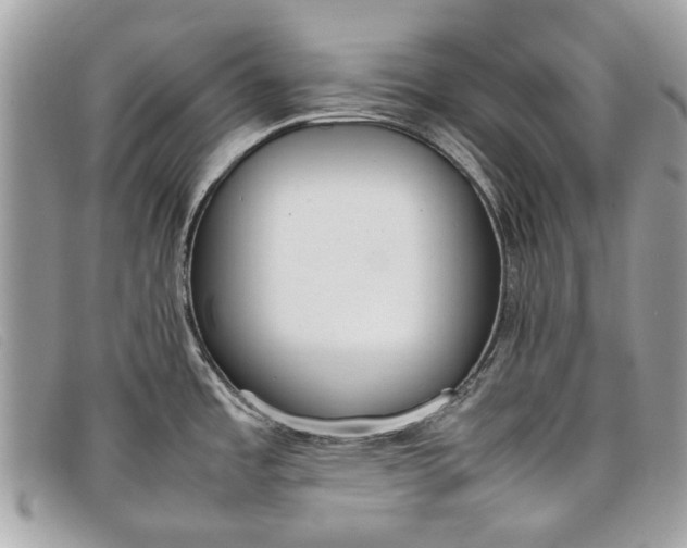 X0000098021485200804111245