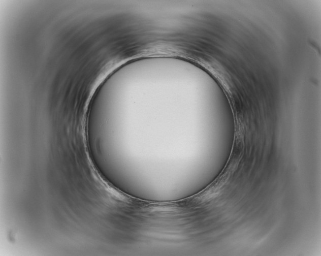 X0000098021486200804111245