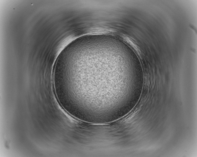 X0000098021487200804111245