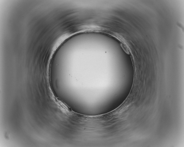 X0000098021488200804111245