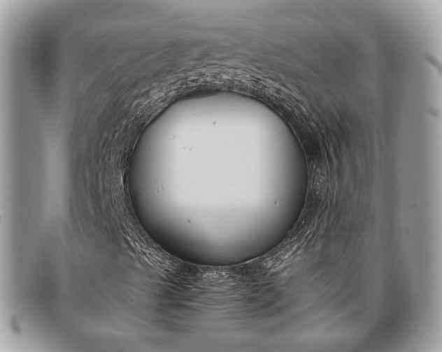 X0000098021489200804111244