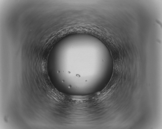 X0000098021490200804111244