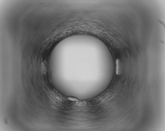 X0000098021491200804111244