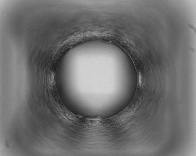 X0000098021492200804111244