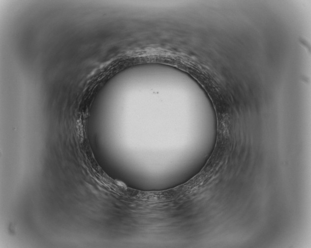 X0000098021493200804111244