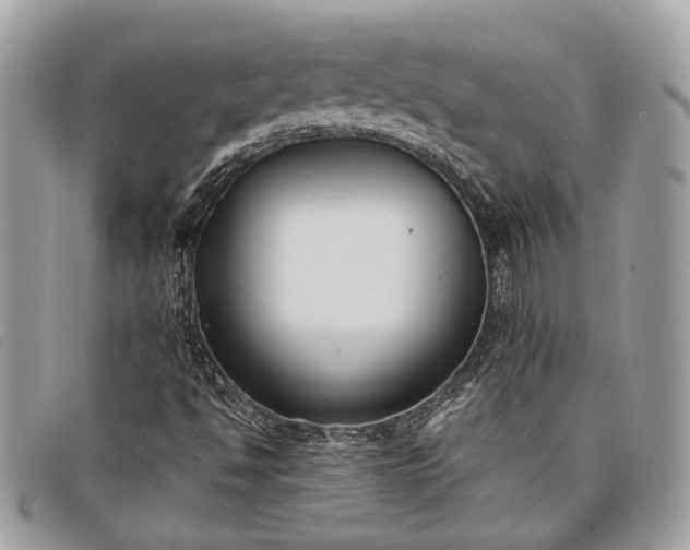 X0000098021494200804111244