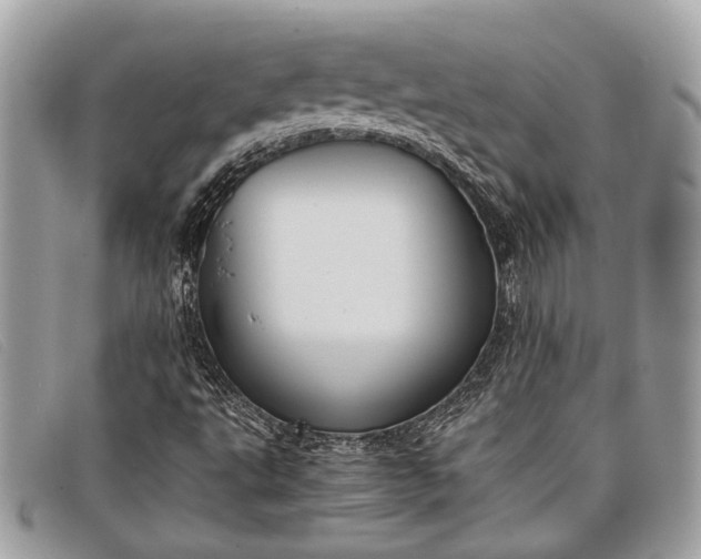 X0000098021495200804111244