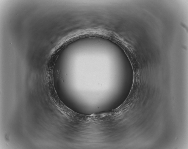 X0000098021496200804111244