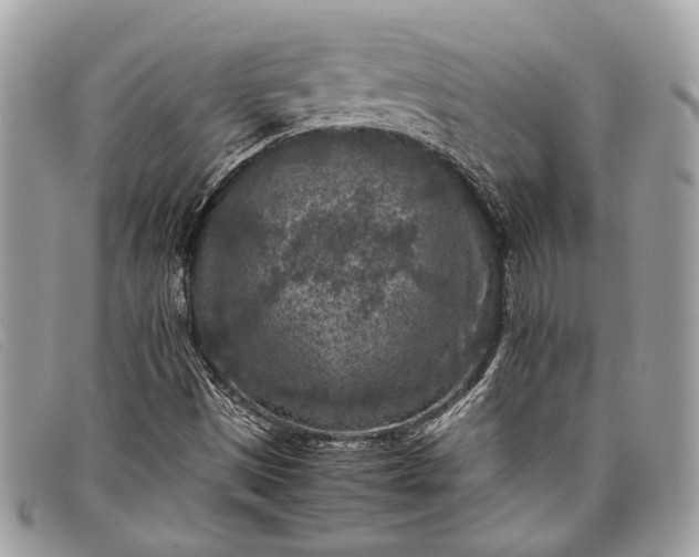 X0000098021497200804111244