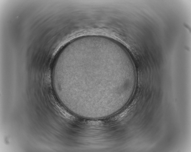 X0000098021498200804111244