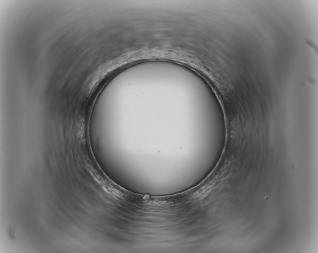 X0000098021499200804111244