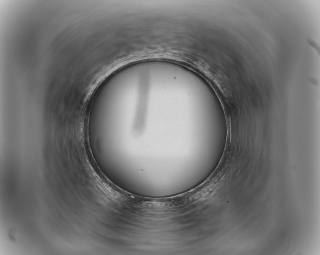 X0000098021500200804111244