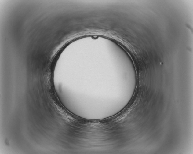 X0000098021502200804111244