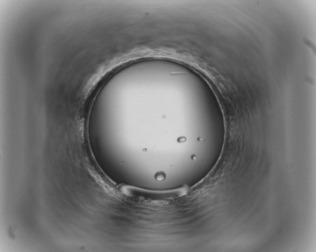 X0000098021503200804111244