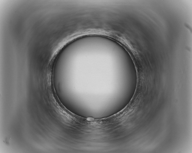 X0000098021504200804111244