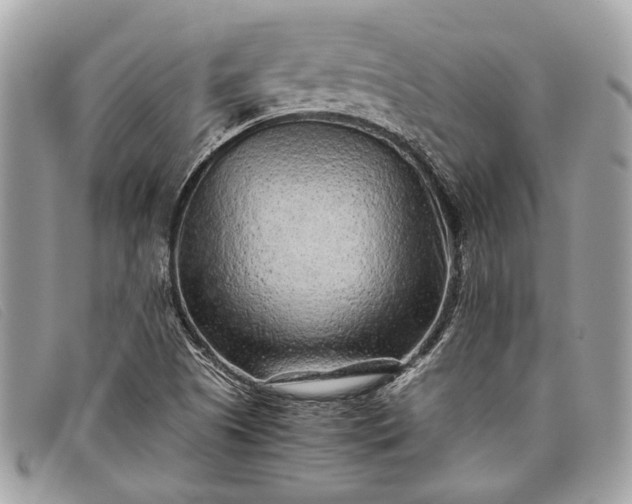 X0000098021505200804111244