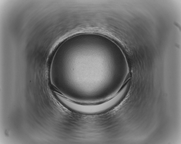 X0000098021506200804111244