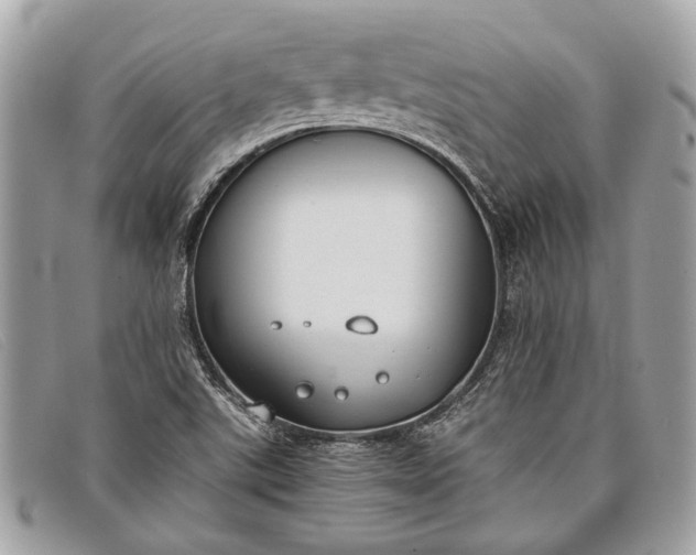 X0000098021507200804111244