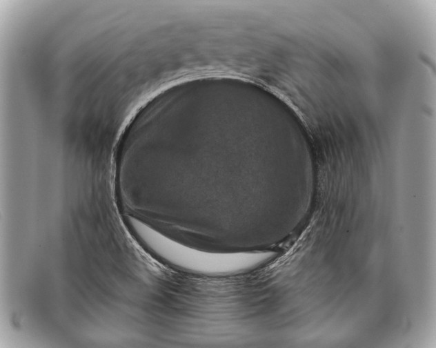 X0000098021508200804111244