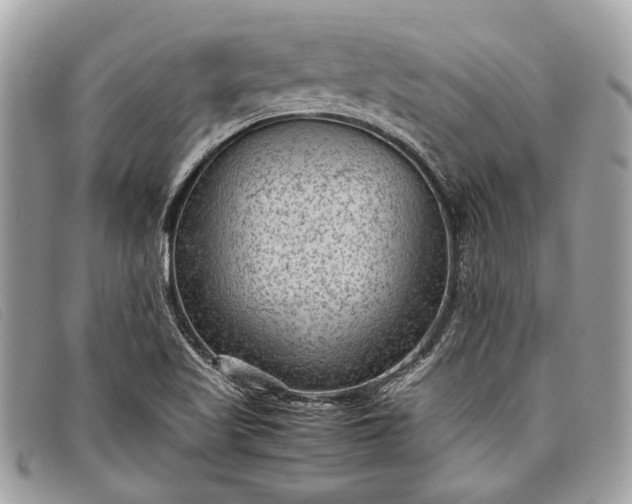 X0000098021509200804111244